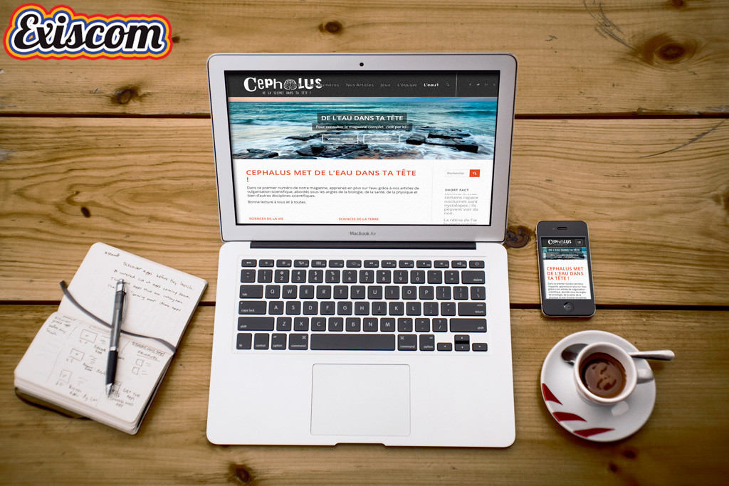 Exiscom_Cephalus_MockUp_Responsive