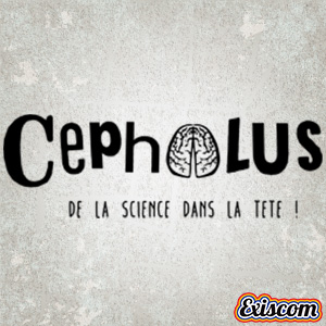 Logo Cephalus Noir
