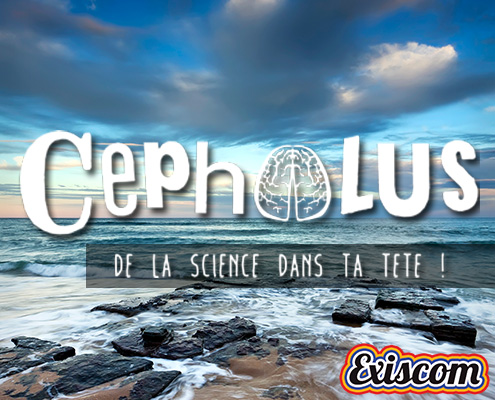 Exiscom_miniature Cephalus